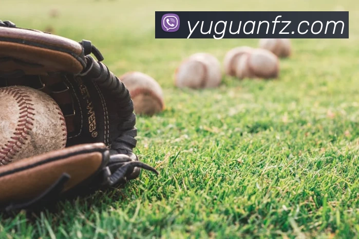 星空体育发展历程